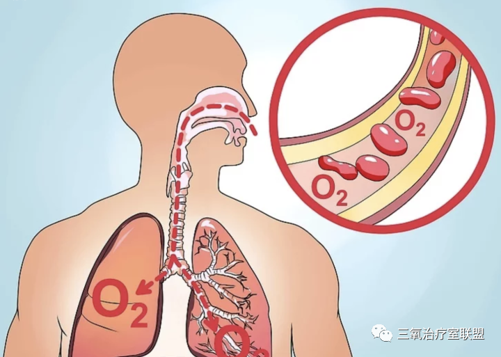 为什么一定要吸氧气为什么“血氧饱和度”如此重要！三氧让血液“吸饱＂氧！_https://www.jmylbn.com_新闻资讯_第1张