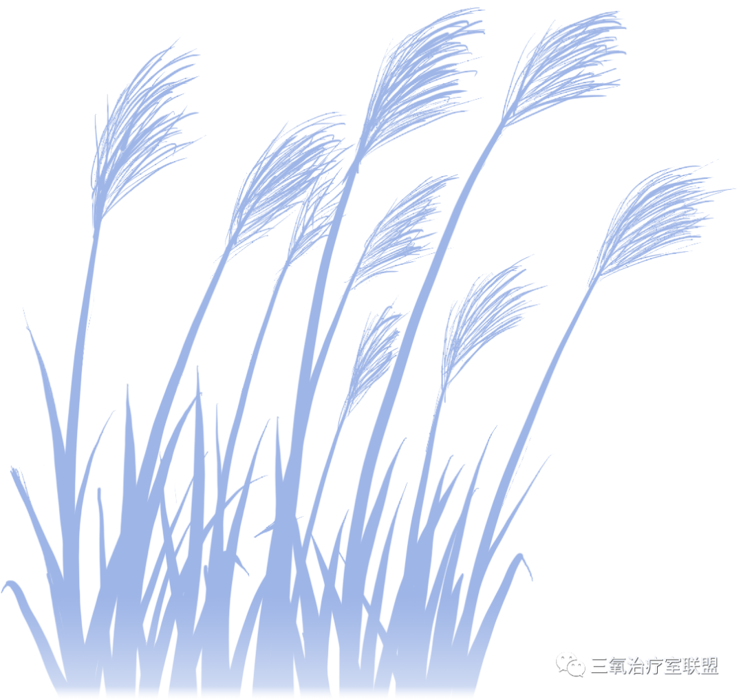 臭氧治疗什么病【简单有效】臭氧水漱口疗法可以治疗哪些疾病？_https://www.jmylbn.com_新闻资讯_第6张
