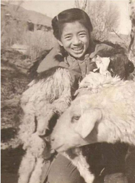 和平精英透视挂在哪里可以买