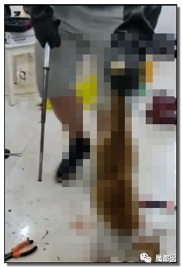 激怒央视！男子残忍用开水活活浇烫怀孕母猫事件引发全网悲愤（组图） - 81
