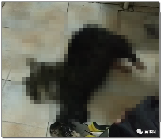激怒央视！男子残忍用开水活活浇烫怀孕母猫事件引发全网悲愤（组图） - 91