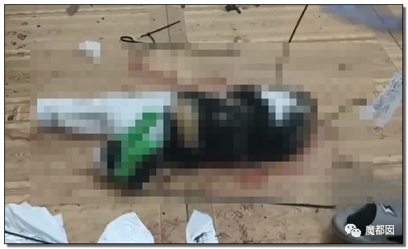 激怒央视！男子残忍用开水活活浇烫怀孕母猫事件引发全网悲愤（组图） - 89