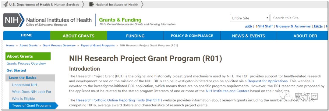 ҽѧ̩Piero Anversaѧ 31ƪ⳷ ҽԺǧ