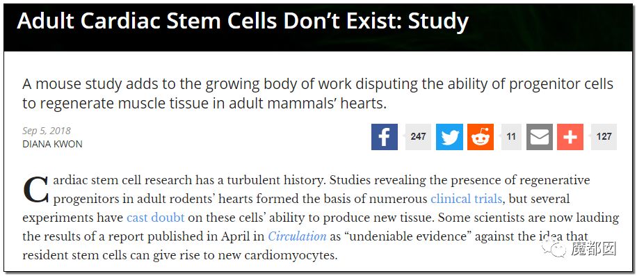 ҽѧ̩Piero Anversaѧ 31ƪ⳷ ҽԺǧ