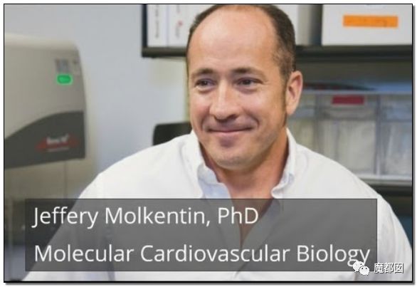 ҽѧ̩Piero Anversaѧ 31ƪ⳷ ҽԺǧ