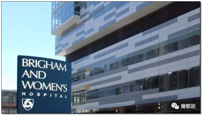 ҽѧ̩Piero Anversaѧ 31ƪ⳷ ҽԺǧ