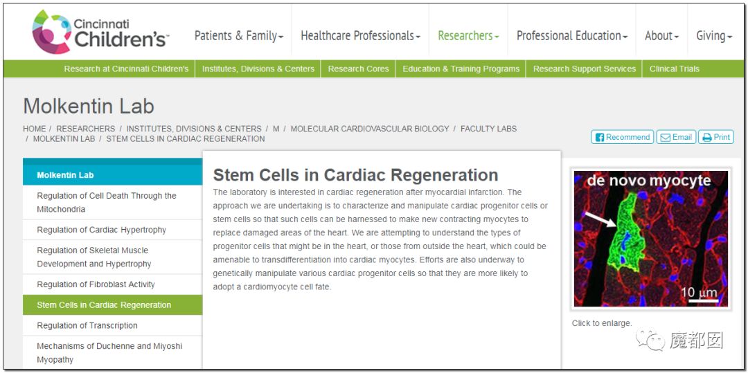 ҽѧ̩Piero Anversaѧ 31ƪ⳷ ҽԺǧ