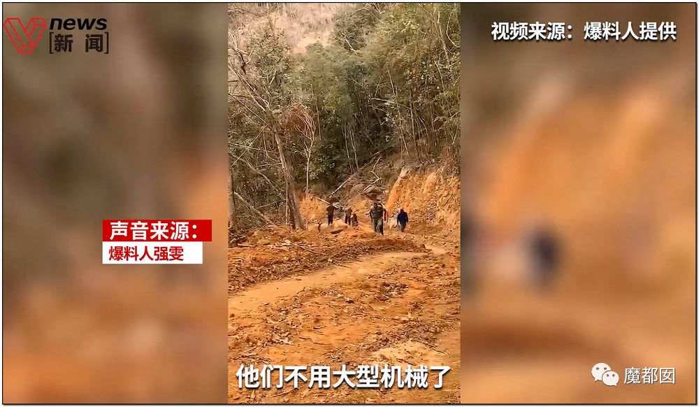 反转搞大！美少女愤怒举报农夫山泉武夷山毁林取水黑幕揭晓！（组图） - 35
