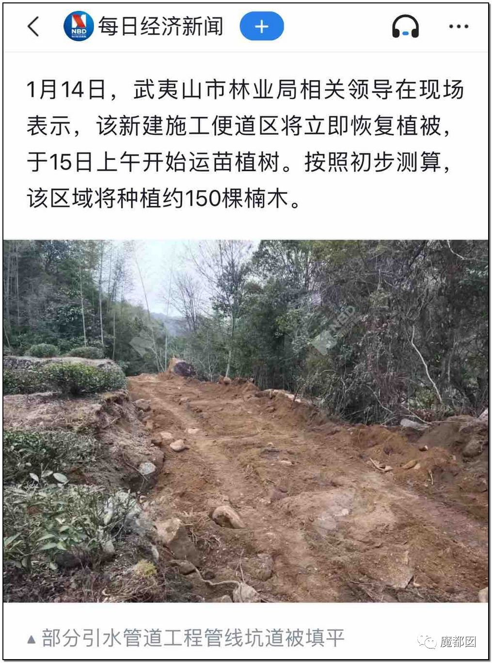 反转搞大！美少女愤怒举报农夫山泉武夷山毁林取水黑幕揭晓！（组图） - 31