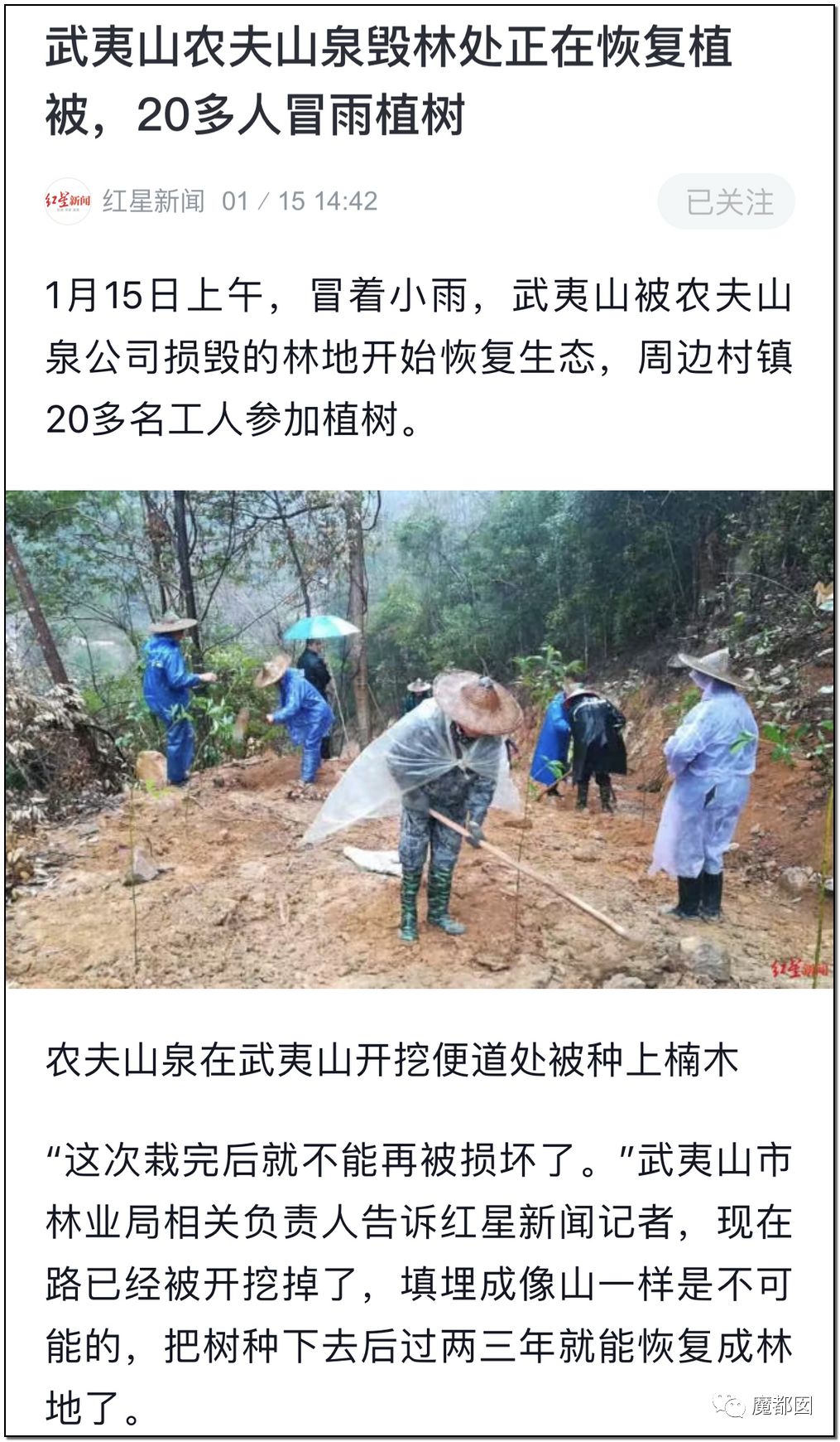 反转搞大！美少女愤怒举报农夫山泉武夷山毁林取水黑幕揭晓！（组图） - 30