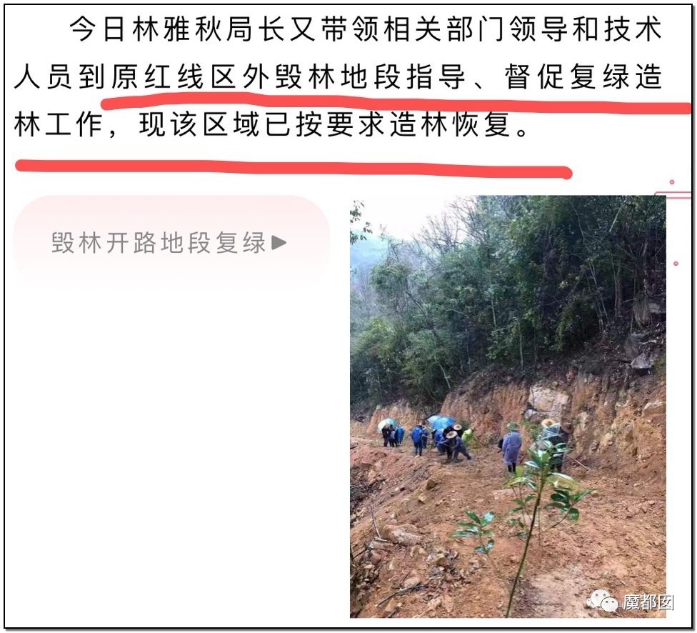 反转搞大！美少女愤怒举报农夫山泉武夷山毁林取水黑幕揭晓！（组图） - 29