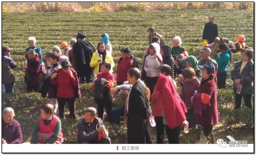 反转搞大！美少女愤怒举报农夫山泉武夷山毁林取水黑幕揭晓！（组图） - 70