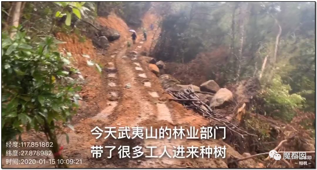 反转搞大！美少女愤怒举报农夫山泉武夷山毁林取水黑幕揭晓！（组图） - 34