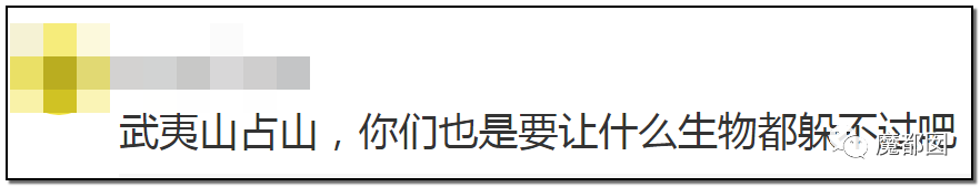 反转搞大！美少女愤怒举报农夫山泉武夷山毁林取水黑幕揭晓！（组图） - 44