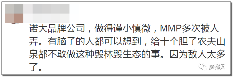 反转搞大！美少女愤怒举报农夫山泉武夷山毁林取水黑幕揭晓！（组图） - 76