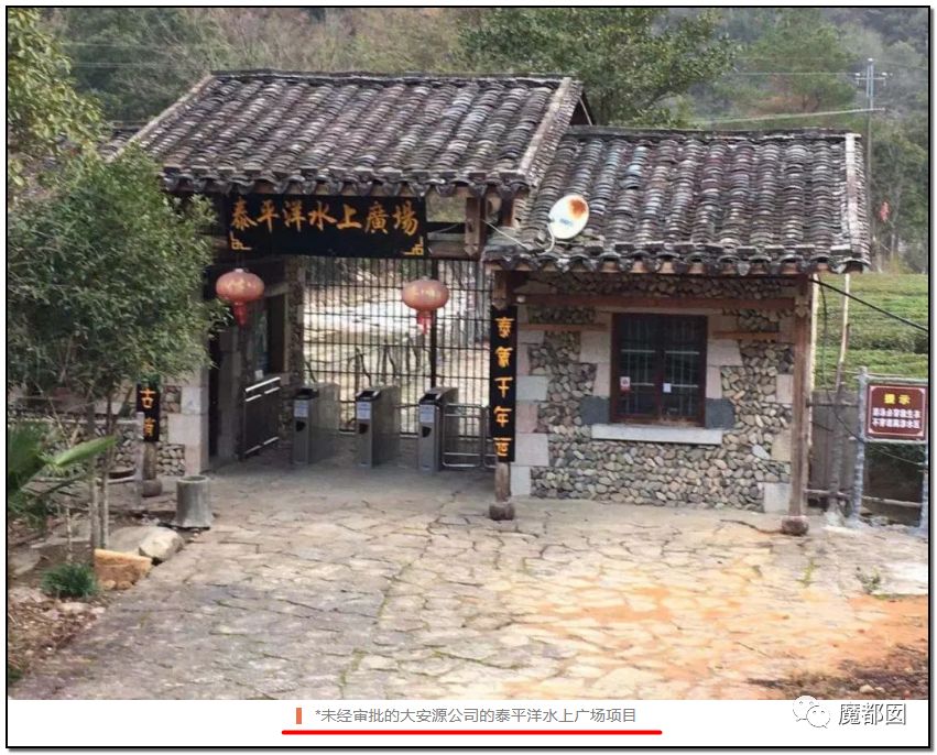 反转搞大！美少女愤怒举报农夫山泉武夷山毁林取水黑幕揭晓！（组图） - 63