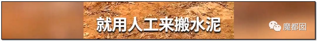 反转搞大！美少女愤怒举报农夫山泉武夷山毁林取水黑幕揭晓！（组图） - 36