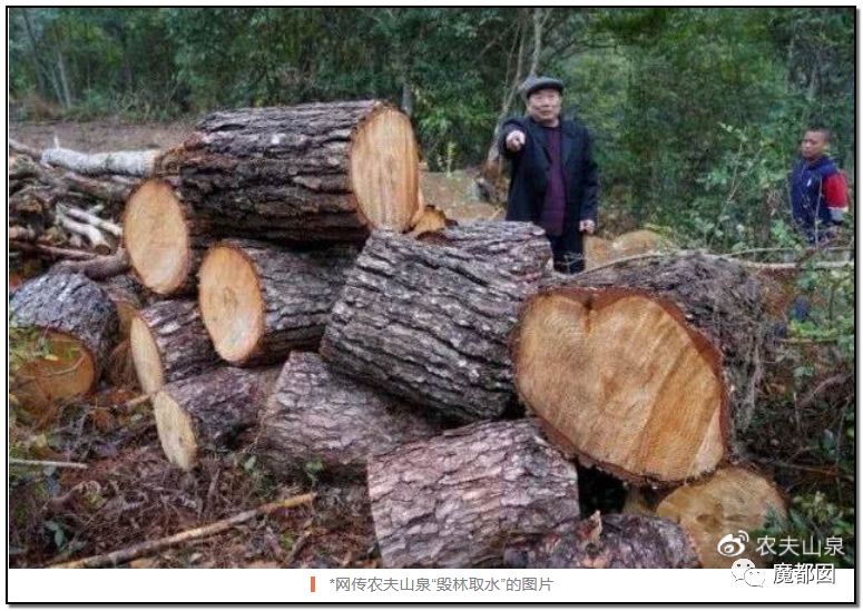 反转搞大！美少女愤怒举报农夫山泉武夷山毁林取水黑幕揭晓！（组图） - 49