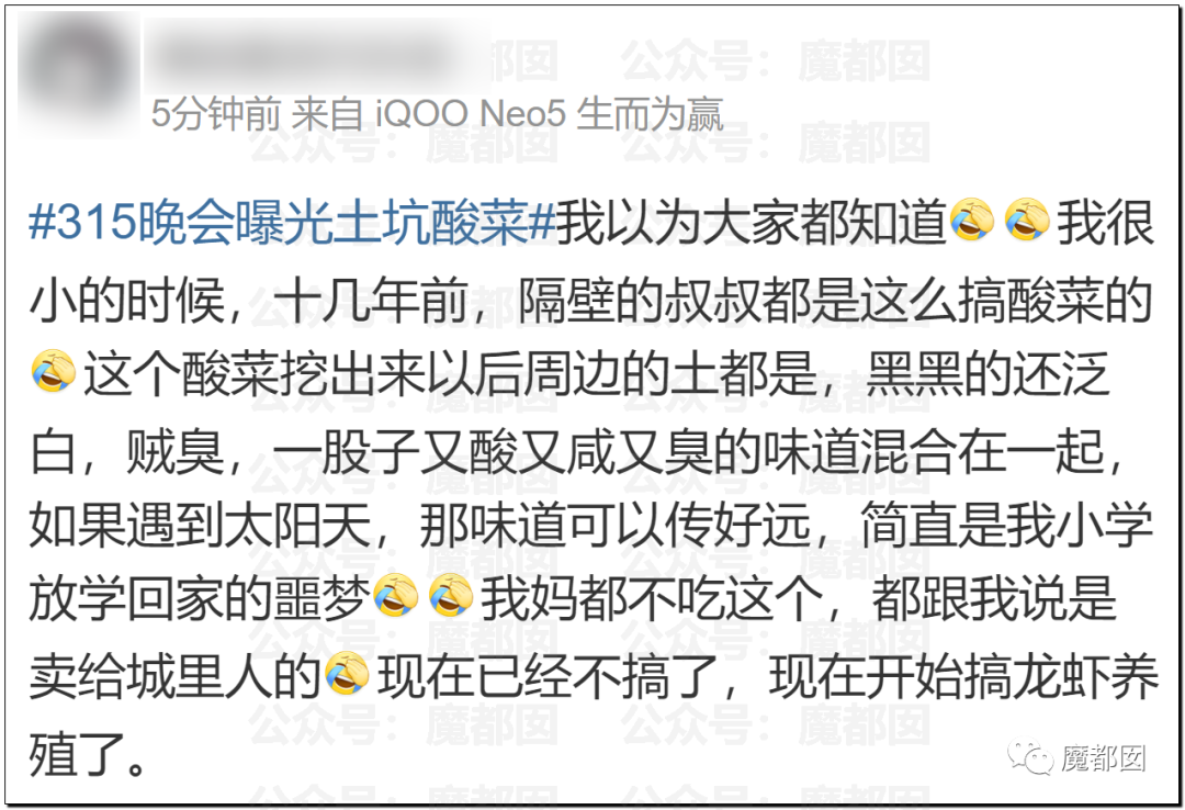 315曝光“黑心酸菜”：双汇臭肉、性感美女主播、康师傅统一老坛酸菜中招（组图） - 165