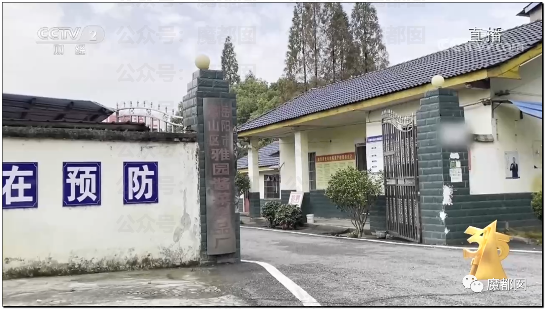 315曝光“黑心酸菜”：双汇臭肉、性感美女主播、康师傅统一老坛酸菜中招（组图） - 141