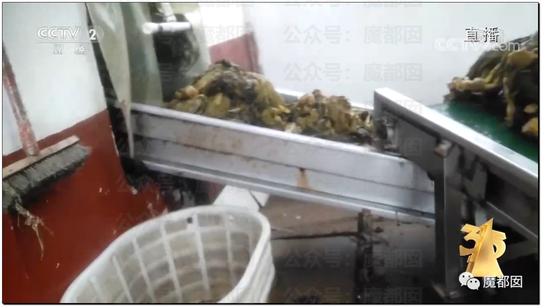315曝光“黑心酸菜”：双汇臭肉、性感美女主播、康师傅统一老坛酸菜中招（组图） - 145