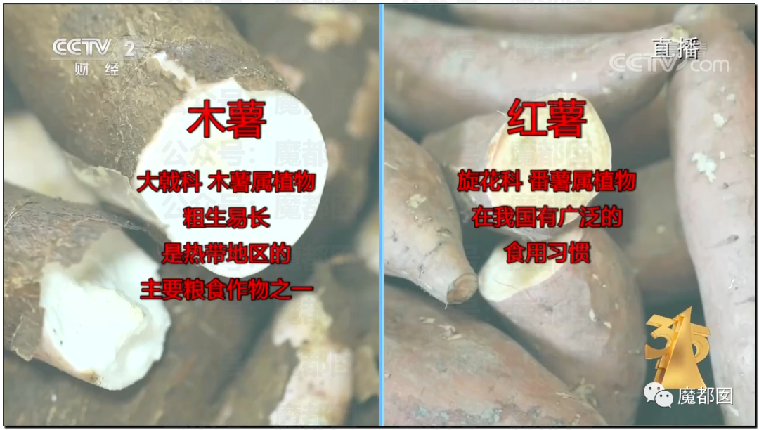 315曝光“黑心酸菜”：双汇臭肉、性感美女主播、康师傅统一老坛酸菜中招（组图） - 77