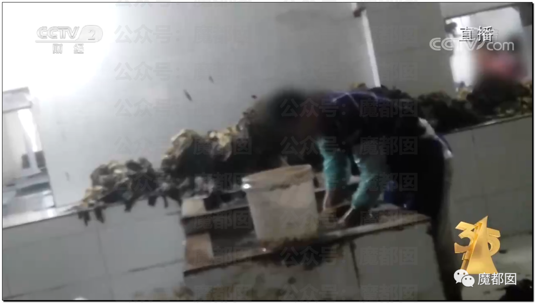 315曝光“黑心酸菜”：双汇臭肉、性感美女主播、康师傅统一老坛酸菜中招（组图） - 148