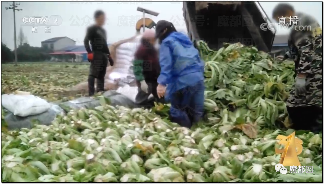 315曝光“黑心酸菜”：双汇臭肉、性感美女主播、康师傅统一老坛酸菜中招（组图） - 132
