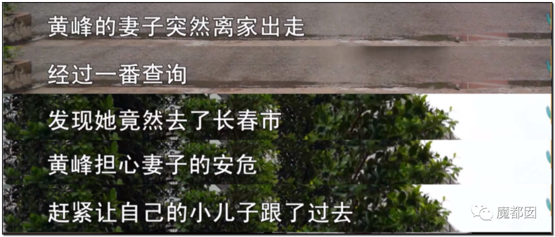 暗黑内幕！60岁少女心痴恋“靳东”竟被偶像全国公开表白？（组图） - 13
