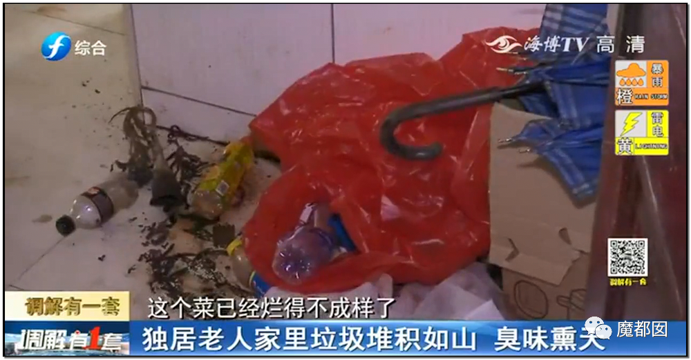 头皮发麻！干净的地上抽屉忽然爆发大量蟑螂，真相令人愤怒（组图） - 104