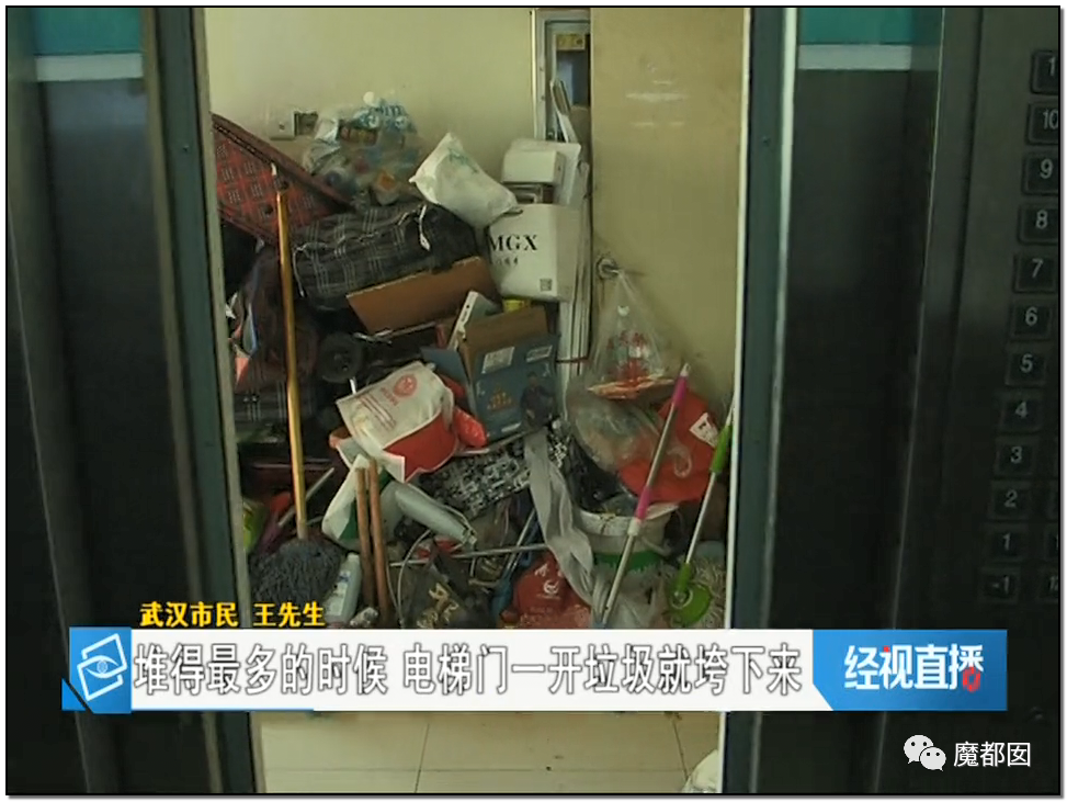 头皮发麻！干净的地上抽屉忽然爆发大量蟑螂，真相令人愤怒（组图） - 154