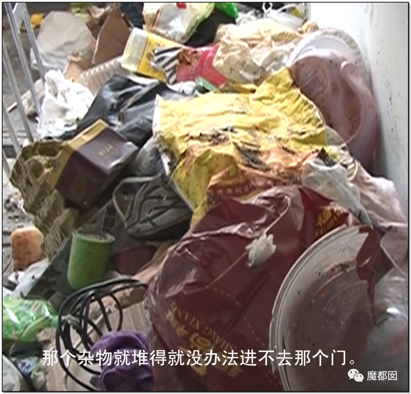 头皮发麻！干净的地上抽屉忽然爆发大量蟑螂，真相令人愤怒（组图） - 146