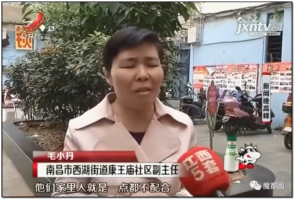 头皮发麻！干净的地上抽屉忽然爆发大量蟑螂，真相令人愤怒（组图） - 86