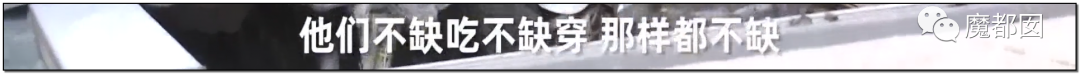头皮发麻！干净的地上抽屉忽然爆发大量蟑螂，真相令人愤怒（组图） - 100