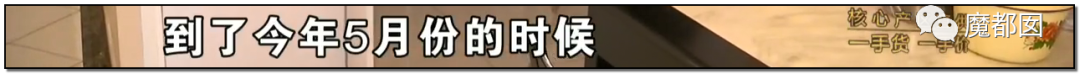 头皮发麻！干净的地上抽屉忽然爆发大量蟑螂，真相令人愤怒（组图） - 17