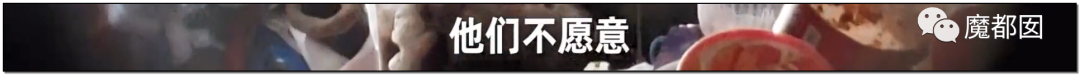 头皮发麻！干净的地上抽屉忽然爆发大量蟑螂，真相令人愤怒（组图） - 98