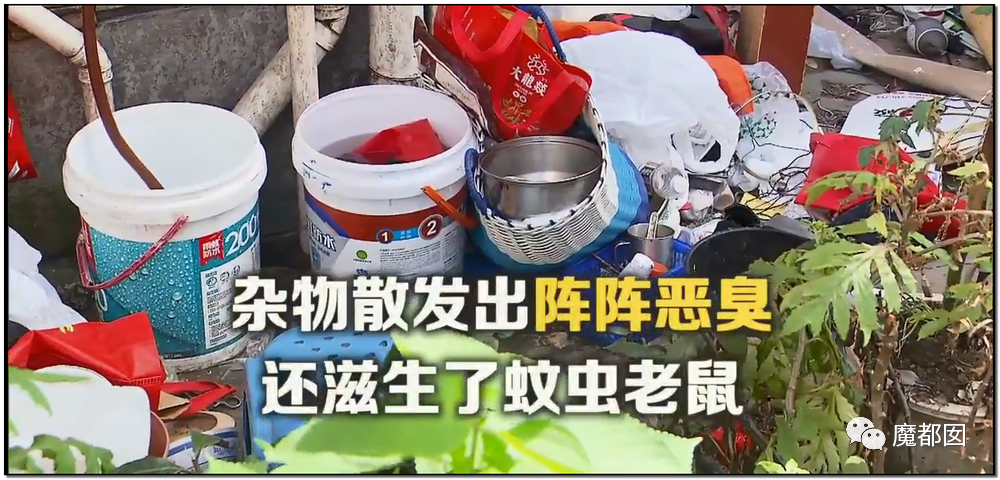 头皮发麻！干净的地上抽屉忽然爆发大量蟑螂，真相令人愤怒（组图） - 157