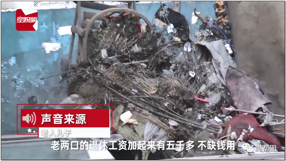 头皮发麻！干净的地上抽屉忽然爆发大量蟑螂，真相令人愤怒（组图） - 99