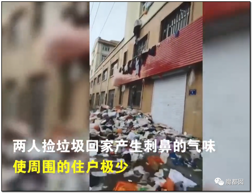 头皮发麻！干净的地上抽屉忽然爆发大量蟑螂，真相令人愤怒（组图） - 152