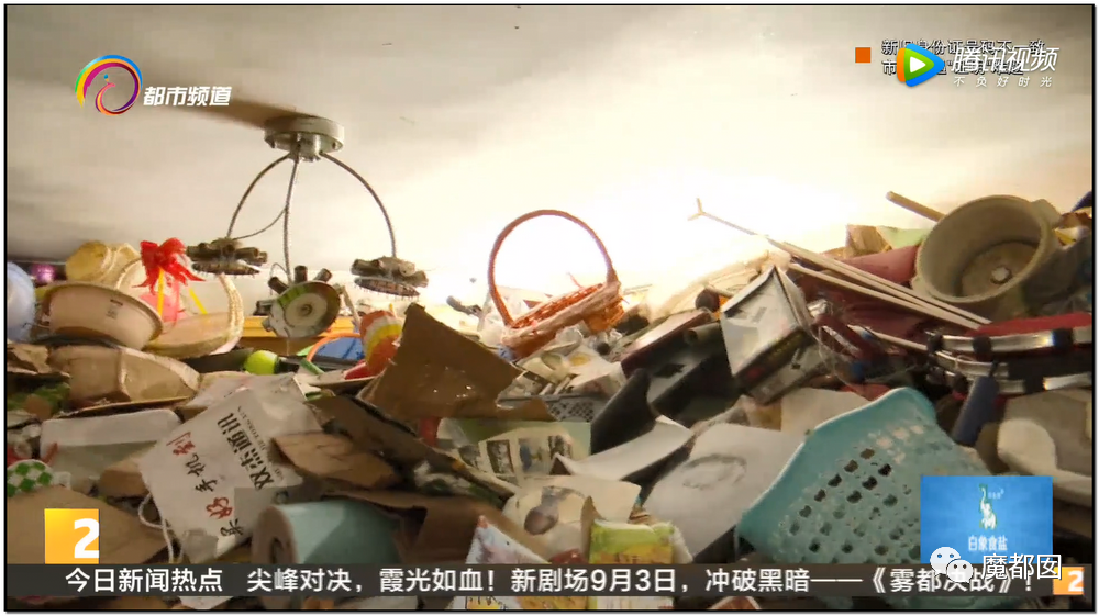 头皮发麻！干净的地上抽屉忽然爆发大量蟑螂，真相令人愤怒（组图） - 134