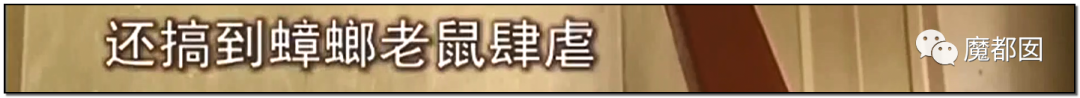 头皮发麻！干净的地上抽屉忽然爆发大量蟑螂，真相令人愤怒（组图） - 124
