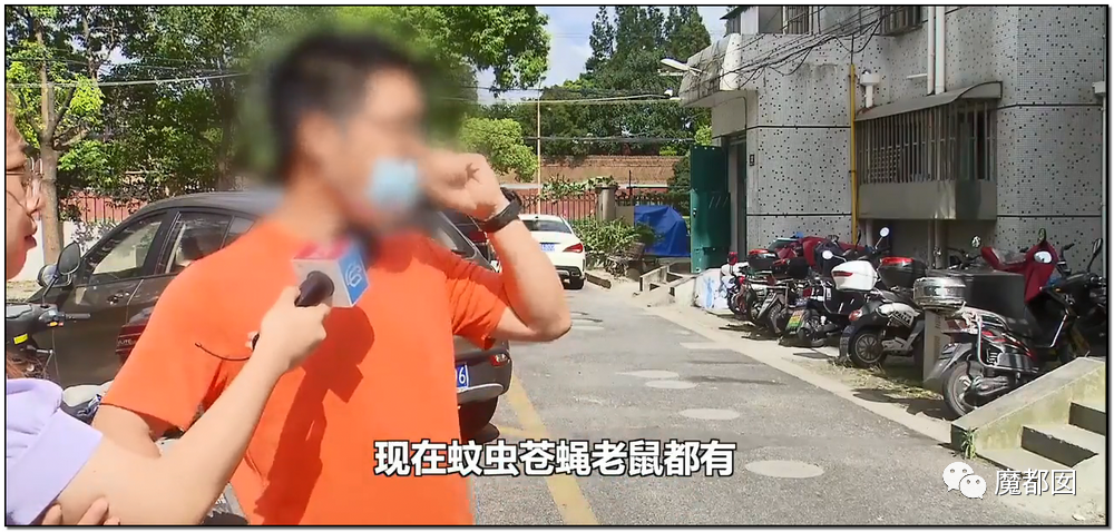 头皮发麻！干净的地上抽屉忽然爆发大量蟑螂，真相令人愤怒（组图） - 158