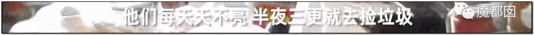 头皮发麻！干净的地上抽屉忽然爆发大量蟑螂，真相令人愤怒（组图） - 101