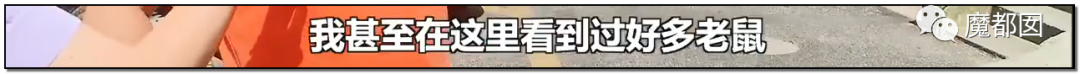头皮发麻！干净的地上抽屉忽然爆发大量蟑螂，真相令人愤怒（组图） - 160