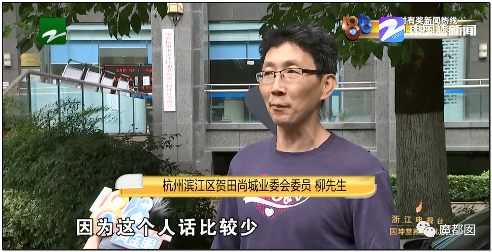 头皮发麻！干净的地上抽屉忽然爆发大量蟑螂，真相令人愤怒（组图） - 46