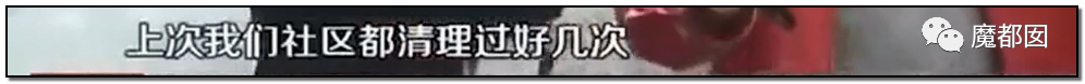 头皮发麻！干净的地上抽屉忽然爆发大量蟑螂，真相令人愤怒（组图） - 80
