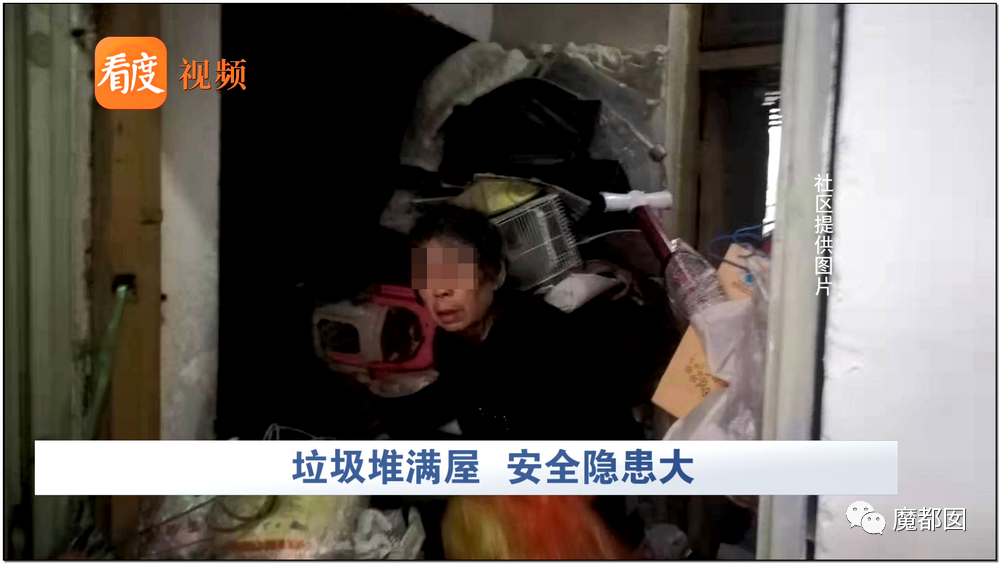 头皮发麻！干净的地上抽屉忽然爆发大量蟑螂，真相令人愤怒（组图） - 139