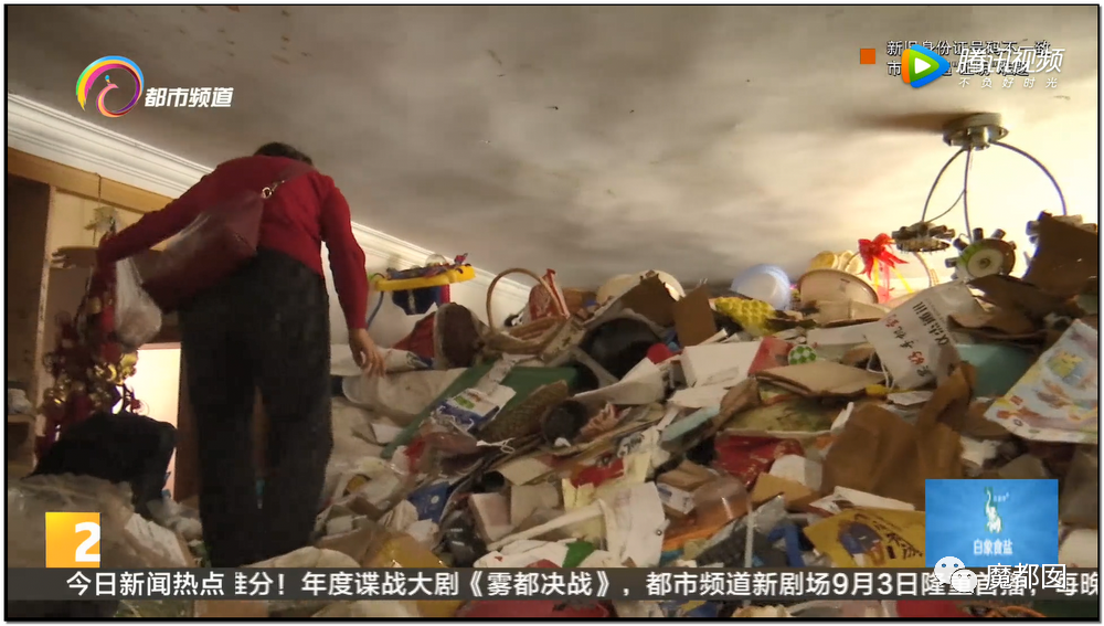 头皮发麻！干净的地上抽屉忽然爆发大量蟑螂，真相令人愤怒（组图） - 133