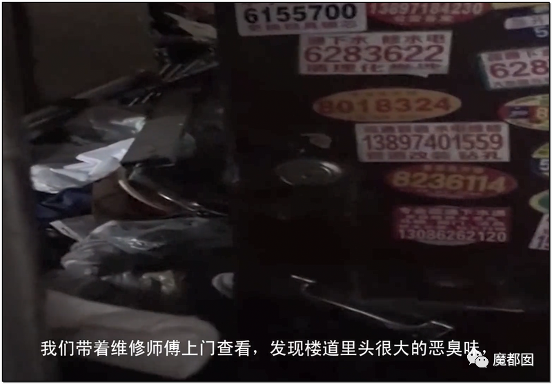 头皮发麻！干净的地上抽屉忽然爆发大量蟑螂，真相令人愤怒（组图） - 145