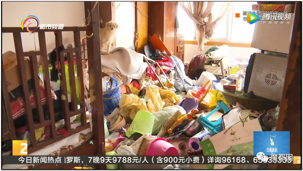 头皮发麻！干净的地上抽屉忽然爆发大量蟑螂，真相令人愤怒（组图） - 137